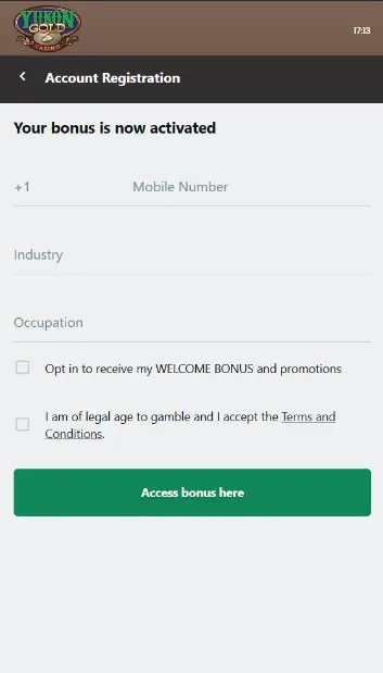 Step 5 - Enter your phone number and accept the Terms & Conditions.